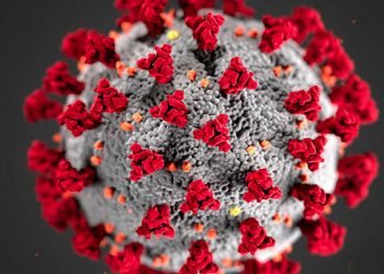 ক’ৰোনাৰ খতিয়ান