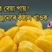 কঁঠাল খাওক, ক’ৰোনা খেদক