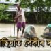 কলগাছিয়াত বেঁকীৰ সংহাৰ