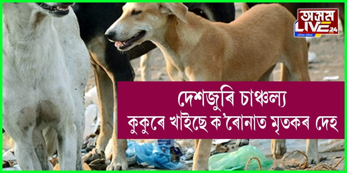 দেশজুৰি চাঞ্চল্য