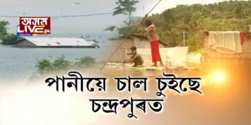 চন্দ্ৰপুৰত বানৰ কৱলত ২০খনকৈ গাঁও