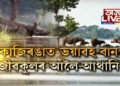 কাজিৰঙাই কান্দিছে। ৪১টা পহুৰ মৃত্যু, ৪৭টা অন্য বন্যপ্ৰাণীৰ মৃত্যু।