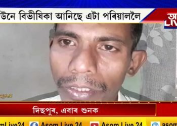 দিছপুৰীয়াই শুনিবনে এই বিননি?