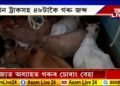 ৰাজ্য়ত অব্যাহত গৰুৰ অবৈধ বেহা