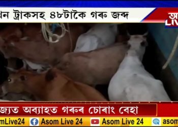 ৰাজ্য়ত অব্যাহত গৰুৰ অবৈধ বেহা