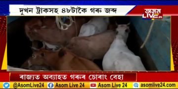 ৰাজ্য়ত অব্যাহত গৰুৰ অবৈধ বেহা