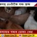 ৰাজ্য়ত অব্যাহত গৰুৰ অবৈধ বেহা
