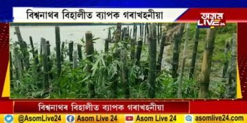 বিশ্বনাথৰ বিহালীত গৰাখহনীয়া ৰোধৰ বাবে তত্পৰ বিধায়ক ৰঞ্জিত দত্ত