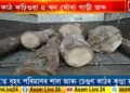 বিটিচিত বন বিভাগে জব্দ কৰিলে বৃহত্ পৰিমাণৰ মূল্যৱান কাঠৰ কুণ্ডা