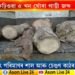 বিটিচিত বন বিভাগে জব্দ কৰিলে বৃহত্ পৰিমাণৰ মূল্যৱান কাঠৰ কুণ্ডা