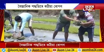 ৰাজপথত প্ৰতিবাদ নহয়, পথাৰত কৃষিকৰ্মত ব্যস্ত ছাত্ৰ সন্থাৰ কৰ্মী