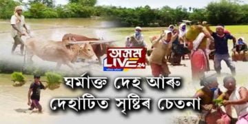 ক’ৰোনাৰ আতংকৰ মাজতো পথাৰত সপোনৰ গোঁজ ৰুইছে চহা কৃষকে