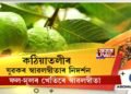 ক’ৰোনাই বহুলোকলৈ আনিছে হতাশা। তাৰমাজতে ‘কামাখ্যা এগ্ৰো ফাৰ্ম’ৰ সফলতা।