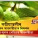ক’ৰোনাই বহুলোকলৈ আনিছে হতাশা। তাৰমাজতে ‘কামাখ্যা এগ্ৰো ফাৰ্ম’ৰ সফলতা।