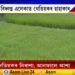এফালে যদি আশা, আনফালে নিৰাশাই ছানি ধৰিছে কৃষক পৰিয়ালক।
