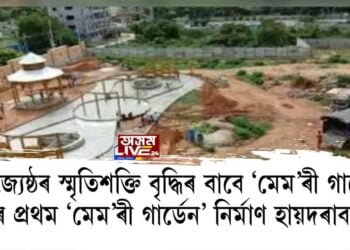 বয়োজ্যেষ্ঠৰ স্মৃতিশক্তি বৃদ্ধিৰ বাবে ‘মেম’ৰী গাৰ্ডেন’