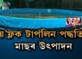 বায়’ফ্লক টাৰ্পলিন পদ্ধতিৰে মাছৰ উত্পাদনত ব্যস্ত এতিয়া শিক্ষিত যুৱক