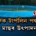 বায়’ফ্লক টাৰ্পলিন পদ্ধতিৰে মাছৰ উত্পাদনত ব্যস্ত এতিয়া শিক্ষিত যুৱক