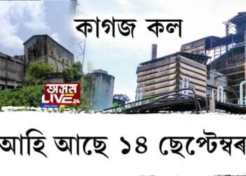 ঔদ্যোগীকৰণৰ চৰকাৰী ফিতাহি