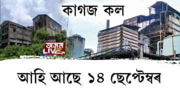 ঔদ্যোগীকৰণৰ চৰকাৰী ফিতাহি