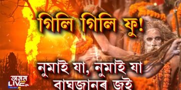 ফুৱাই নুমুৱাব বাঘজানৰ জুই!