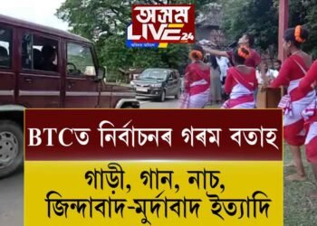 BTC নিৰ্বাচন, গাত তৰণি নাই কাৰো