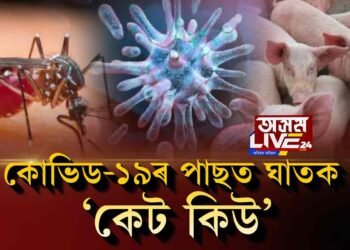 ক’ৰোনাৰ পাছত এইবাৰ ঘাতক ‘কেট কিউ’ৰ প্ৰাদুৰ্ভাৱ