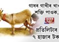 গাধৰ গাখীৰ খাওক শক্তি পাওক, প্ৰতিলিটাৰ ৭ হাজাৰ টকা!
