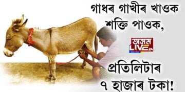 গাধৰ গাখীৰ খাওক শক্তি পাওক, প্ৰতিলিটাৰ ৭ হাজাৰ টকা!