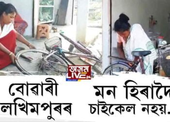 নাৰায়ণপুৰৰ শিমলুগুৰিৰ এগৰাকী অগতানুগতিক মহিলা