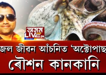 ৪ হাজাৰ কোটিটকীয়া জল জীৱন মিছনত ‘অক্টোপাছ’ ৰৌশন কানকানি