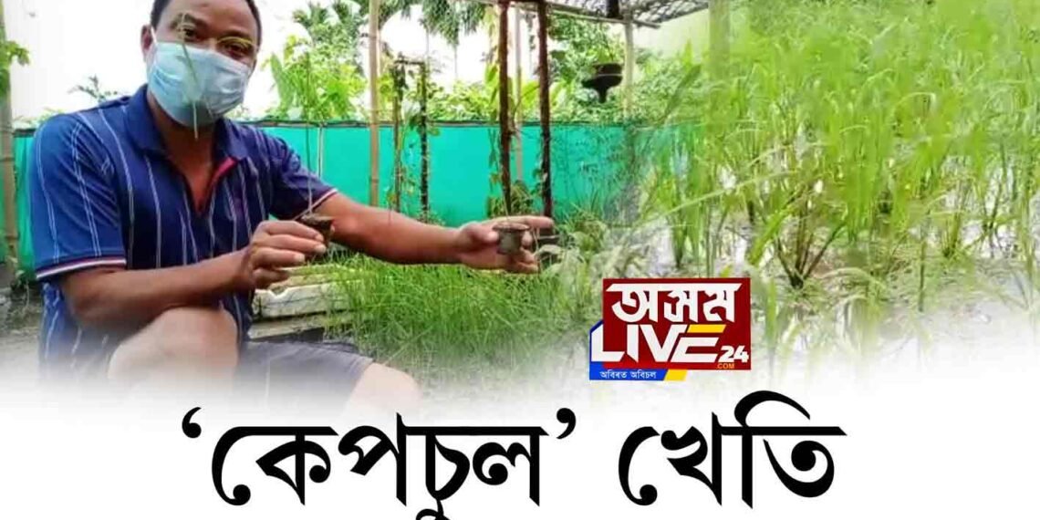 কৃষিখণ্ডলৈ আশাব্যঞ্জক খবৰ