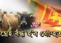 বন্ধ হ’ব গো-হত্যা