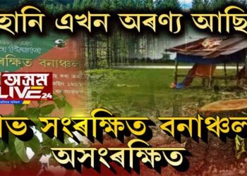 এখন অৰণ্যৰ আত্মাৰ হাহাকাৰ