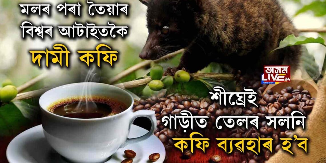 মলৰ পৰা তৈয়াৰ বিশ্বৰ আটাইতকৈ দামী কফি