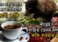 মলৰ পৰা তৈয়াৰ বিশ্বৰ আটাইতকৈ দামী কফি
