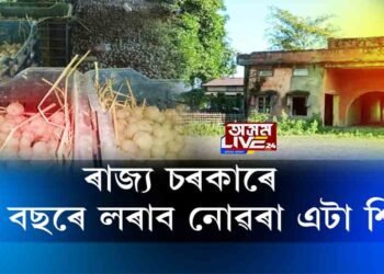 কৃষিমন্ত্ৰীৰ সমষ্টিতেই লাওলোৱা অৱস্থা কৃষকৰ