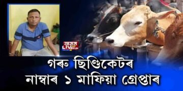 গৰু ছিণ্ডিকেটৰ সবিশেষ…