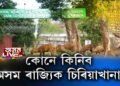 কোনে ল’ব অসমৰ একমাত্ৰ ৰাজ্যিক চিৰিয়াখানা?