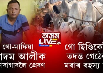 কুখ্যাত গো-মাফিয়া আদম আলীক কাৰাগাৰলৈ প্ৰেৰণ