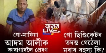 কুখ্যাত গো-মাফিয়া আদম আলীক কাৰাগাৰলৈ প্ৰেৰণ