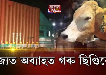 ৰাজ্যত অব্যাহত গৰু ছিণ্ডিকেট