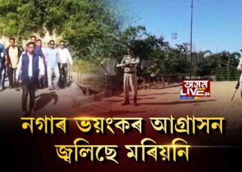 মৰিয়নিৰ দিচৈভেলীত নগাৰ আগ্ৰাসন