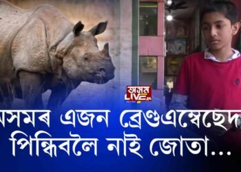 ‘অসম গঁড় বন্ধু’ সুহান মল্লিকৰ দুখৰ কথা