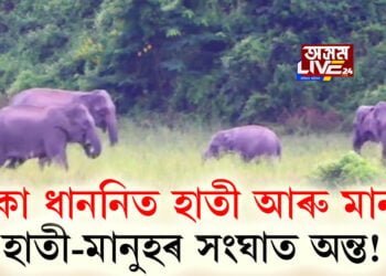 অন্ত পৰাৰ দিশে হাতী-মানুহৰ সংঘাত