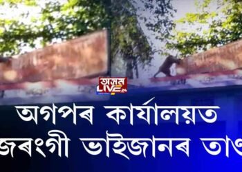 ন-অগপ নেতা পৰমানন্দ ৰাজবংশীৰ বিৰুদ্ধে বজৰংগী ভাইজান