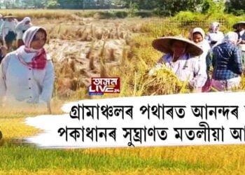 চহা কৃষকৰ প্ৰাপ্তিৰ এটি হেঁপাহৰ মাহ