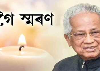 সতীর্থ, ৰাজনীতিক, নেতা, জনতাৰ দৃষ্টিত গগৈ (৫)