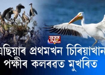 পৰিভ্ৰমী পক্ষীৰ কাকলিত মুখৰিত শিৱসাগৰৰ পহুগড়