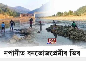 নপানীত বনভোজপ্ৰেমীৰ ভিৰ